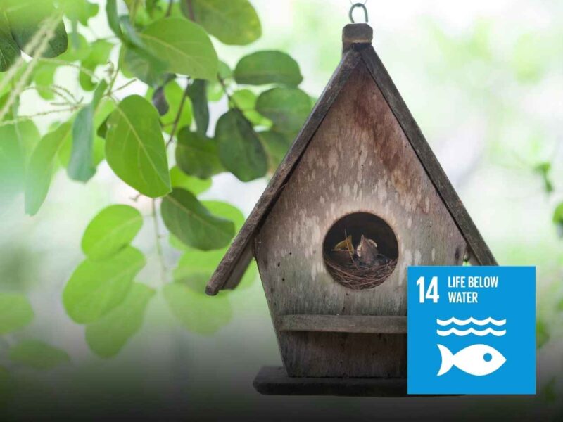 Bird House made of Eco-Friendly Boards