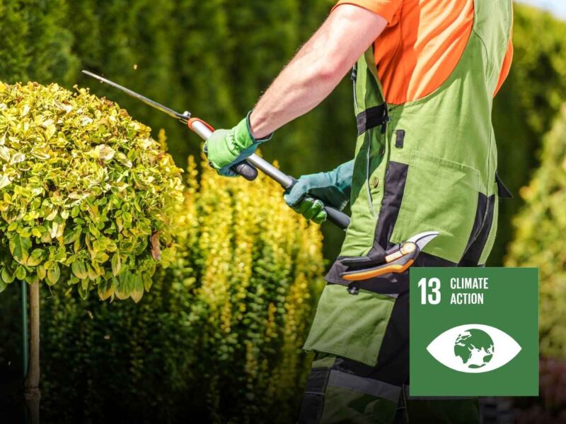 Human Shape Plantation