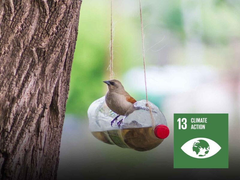 Making Bird Feeder/Shelter