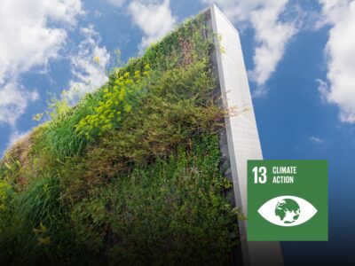 Vertical Gardening
